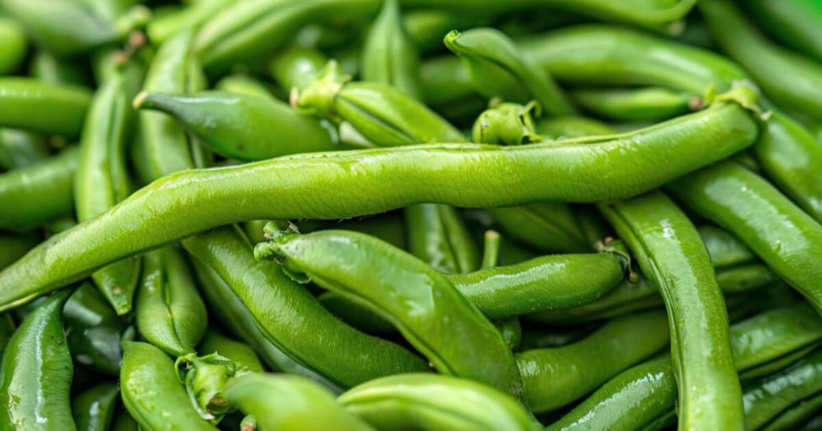 How to cook canned green beans? Green Bean Bliss for the Soul