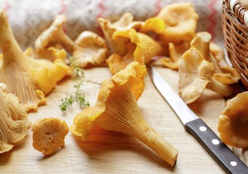 Chanterelle mushrooms - how to cook chanterelle mushrooms