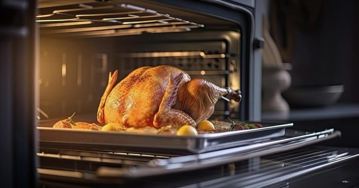 Turkey in a roaster oven