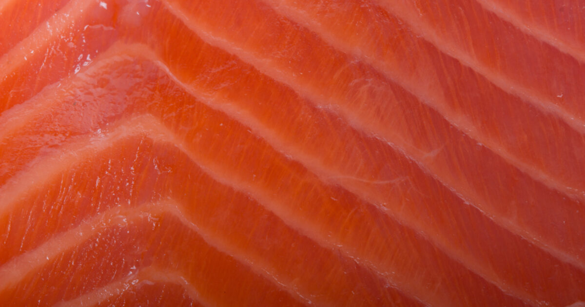 how-long-does-smoked-salmon-last-in-the-fridge-gimme-recipe