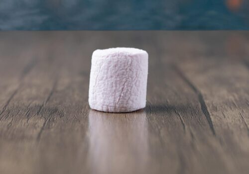 2 ingredient marshmallow fluff recipe